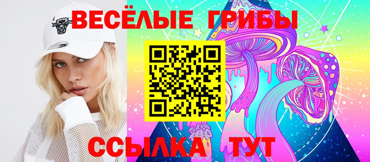 закладка  Вход с VPN  Отрадный  Галлюциногенные грибы Psilocybine cubensis  Галлюциногенные грибы прущие грибы 