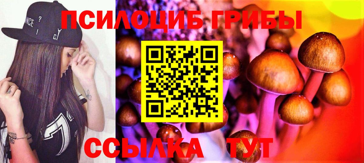 Бошки Шишки  MDMA  Отрадный  МЕФ кристаллы  Вход с VPN  COCAIN  МЕТ  ГАШИШ  Alpha-PVP СОЛЬ  